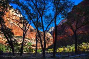 Zion Canyon, Fall-4416 Zion Canyon, Fall-4416